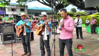 GRUPO BRISAS DEL SIQUILA CONCURSO DE MÚSICA DE CUERDAS CAMPESINAS FERIAS Y FIESTAS PLANADAS TOLIMA [upl. by Vitoria513]