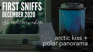 First Sniffs Arctic Kiss  December 2020  Scentsy Scent of the Month with Polar Panorama Warmer [upl. by Vidda562]