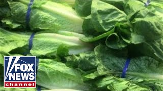 CDC says romaine lettuce safe to eat again [upl. by Feledy]