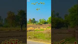 Talib hussain dard joge mahiye  Punjabi sad song talib hussain dard  PunjabiMahiye [upl. by Balthazar130]