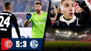 DÜSSELDORF vs SCHALKE 53 Stadion Vlog 🔥 Das ist erbärmlich [upl. by Tezil349]