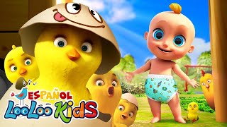 🐤🐥Los Pollitos Dicen Pio Pio  S4EP33 Colección de Aventuras Musicales  LooLoo Kids Español [upl. by Pardew]