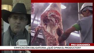 Tipificación obligatoria ¿qué opina el productor [upl. by Leitao]