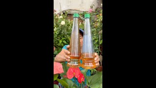 FUNGICIDA DE VINAGRE PARA LAS PLANTAS EN CASA  como hacer un fungicida natural [upl. by Norek329]