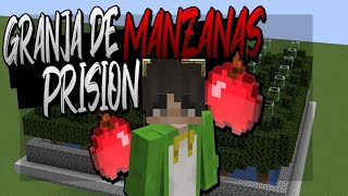 COMO HACER GRANJA DE MANZANAS 🍎  MINECRAFT  SURVIVALDUB [upl. by Tine]