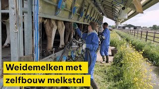 Melken in de weide met zelfbouw melkstal [upl. by Crystie]