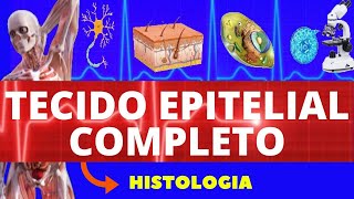 TECIDO EPITELIAL COMPLETO  HISTOLOGIA ENSINO SUPERIOR  TECIDO EPITELIAL DE REVESTIMENTO [upl. by Jenkel]