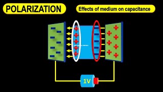 Dielectric polarization  Dielectric polarization animation  Polarization of dielectric slab [upl. by Nomael181]