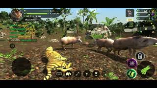 completing level 7 in tiger simulator [upl. by Anitsirk]