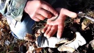 Archaic Copper Crescent amp Metal Detecting Tips [upl. by Cyrille]