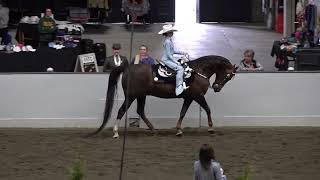 2024 UPHA CH 14 Spring Premier Heidi amp Romeo in WJ Western Seat Equitation 11 amp Under Qualifier [upl. by Jorin]