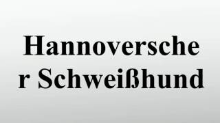 Hannoverscher Schweißhund [upl. by Mendive]