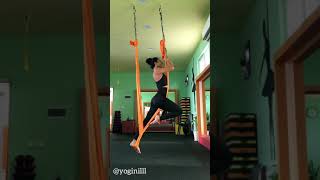 Aerial yoga poses [upl. by Jerz]