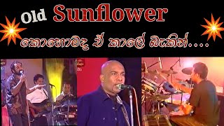 Old sunflower  sunflower nonstop  සන්ෆ්ලවර්  sri lanka old musical show [upl. by Alliuqet]