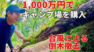 【倒木撤去】サラリーマンが1000万円で買ったキャンプ場を開拓【週末通いでDIY】 [upl. by Arrad]