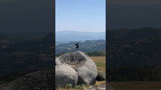 Handstand Workout Among Giants 🌬️🪨calisthenics acrobatics challenge [upl. by Bergren]