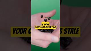 3 Signs Your Coffee Beans Are Stale [upl. by Olonam]