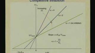 Lecture  9 Enzymes III [upl. by Ennaylil948]