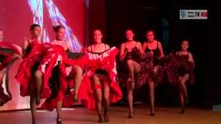 HD WNDWo Ballettschule Zauner 2013  Ausschnitte [upl. by Allerbag833]