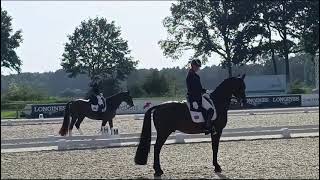 Riesenbeck 2023  FEI Dressage European Championship Warm up GP kür individual [upl. by Delcina]