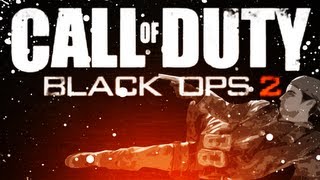 Black Ops 2 BEST CLASS SETUP  quotFALquot Multiplayer  Call of Duty BO2 Gameplay [upl. by Cleopatre]