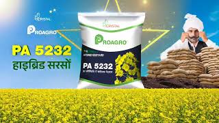 मोटा दाना ज़्यादा भाव  Crystal Proagro 5232 हाइब्रिड सरसों [upl. by Selina]