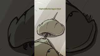 Trispine Horseshoe Crab 🦀🦂 animation original cartoon [upl. by Laryssa799]