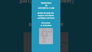 Anatomical planes  types of body planes in anatomy medical physiotherapy anatomy nursing [upl. by Jt]