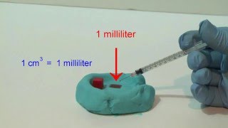 The cubic centimeter and the milliliter [upl. by Eyatnod]