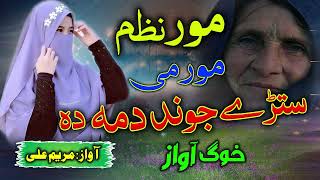 pashto New Mor Nazam  stray jond dama ye mory by maryam Ali mornazam pashtonaat pashtonaat [upl. by Jammie20]