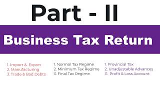 Filing Your First Professional Business Tax Return Everything You Need to Know Part II [upl. by Leffert]