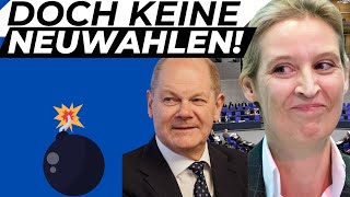 Keine Neuwahlen Warum die AfD Scholz das Vertrauen aussprechen könnte [upl. by Yulma]