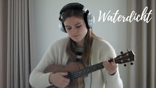 Waterdicht  Hannah Mae live loop cover [upl. by Avner]