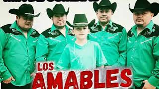 LOS AMABLES DE TAMPSMIX DE CUMBIAS [upl. by Atsuj]