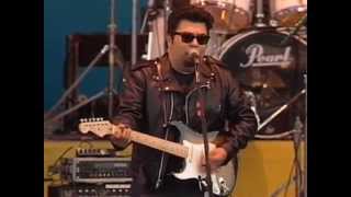 Los Lobos  Full Concert  112689  Watsonville High School Football Field OFFICIAL [upl. by Alaehs]