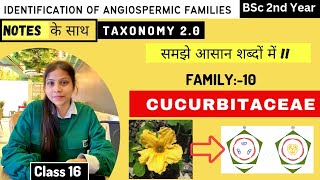 Cucurbitaceae Family 🥒 Floral diagram and formulas  Taxonomy  Economic importance [upl. by Enajiram]