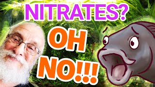 Dangers of Nitrates and Nitrites in your Aquarium  Will it Make My Fish Sick [upl. by Olmstead]