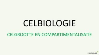 Celbiologie  celgrootte en compartimentalisatie [upl. by Yanahc]