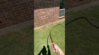 Bullwhip vs dandelion Will it cut funny duet [upl. by Miahc]