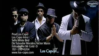 Hector el Father feat Varios Artistas  Los Capos  Los Capo  © 2007 [upl. by Caron]