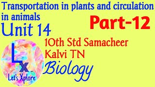 10 std Biounit 14 circulation in animalsComponents of blood  Made easy Part 12Samacheer TN [upl. by Aerdnaeel841]