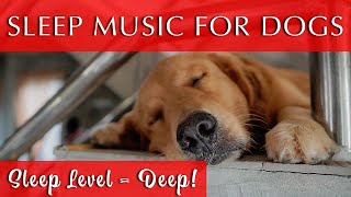 Music to Make Dogs Go to Sleep Fast  Sleep Level  DEEP [upl. by Rebmaed90]