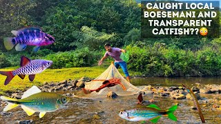 Local BoesemaniTransparent Catfish in river😳😜  Fishing in Blue Water River 💙💙 [upl. by Cinda]