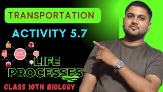 Activity 57  Transportation  Transportation in Human Beings  Class 10th Biology  life Processes [upl. by Wilber361]