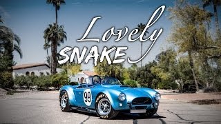 Shelby AC Cobra Kirkham FIA Aluminum Body  Lovely Snake [upl. by Julee]