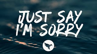 Pnk amp Chris Stapleton  Just Say Im Sorry Lyrics [upl. by Ynittirb914]