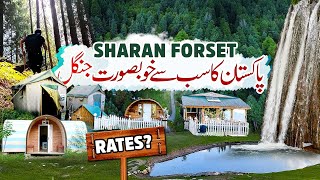 Visit The Most beautiful jungle of Pakistan  Sharan Forest  Naran Kaghan Valley [upl. by Brander355]