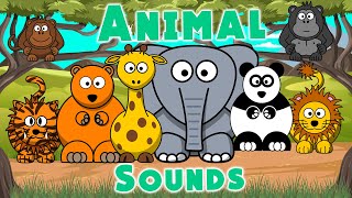 Zoo Animal Sounds  Animal Sounds Song  LittleKidsTV [upl. by Larred647]