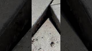 Why do I need to replace my expansion joints [upl. by Mile]