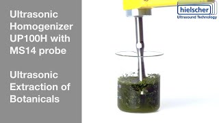 Ultrasonic Extraction of Bioactive Compounds Using a 100W Sonicator [upl. by Aletha519]